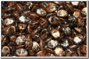 PB-23980-45703, Pinch Beads, 5x3mm, black, op., copper, tweedy, 65 Stk.