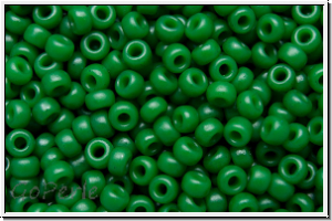 RR-11-2048, MIYUKI Rocailles, 11/0, green, hunter (dyed), op., matte, 10g