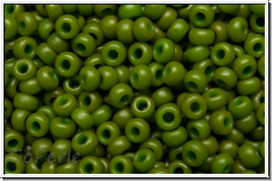 RR-11-2049, MIYUKI Rocailles, 11/0, olivine (dyed), op., mattte, 10g