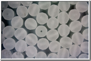 B�hm. Glasschliffperle, feuerpol., 8mm, crystal, trans., matte, 10 Stk.