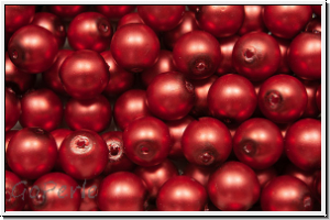 b�hm. Glasperle, rund, 6mm, white, alabaster, red pearl, matte, 25 Stk.