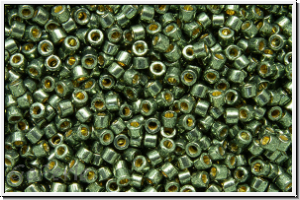 DB2512, MIYUKI Delica, 11/0, green, dk. steel, galv., duracoat, 5g