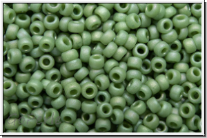RR-15-4698, MIYUKI Rocailles, 15/0, kiwi, op., glaze, matte, AB, 5g