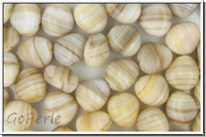 B�hm. Glasperle, Nugget, 7x9,5x10,5mm, beige/brown, 10 Stk.