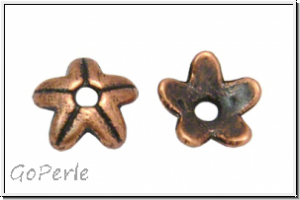 Perlenkappe "Starfish", 9x3mm, antikkupferfb., Tibetsilber, 10 Stk.