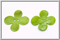 Knopf "Flower", 23mm, lime, Perlmutt, 1 Stk.