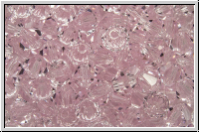 B�hm. Kristallschliffperle, Bicone, 4mm, rosaline, trans., 50 Stk.