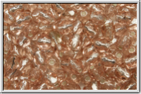 B�hm. Glasschliffperle, feuerpol., 4mm, rosaline, lt., trans., silver-ld., 50 Stk.