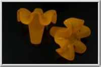 Acrylbl�te "Burgmansia", 18x20mm, orange, 1 Stk.