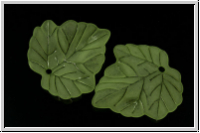 Acrylblatt "Paulownia", 24x24mm, ligh green, 5 Stk.
