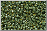 DB2512, MIYUKI Delica, 11/0, green, dk. steel, galv., duracoat, 5g