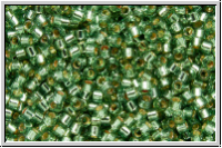 DB2165, MIYUKI Delica, 11/0, seafoam, dk., trans., silver-ld., duracoat, 5g