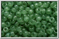RR-11-2375, MIYUKI Rocailles, 11/0, sage, translucent, 10g