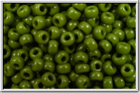 RR-11-0501, MIYUKI Rocailles, 11/0, avocado, op., 10g