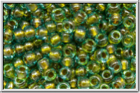 RR-08-0229, MIYUKI Rocailles, 08/0, aqua. trans., brown-ld., 10g