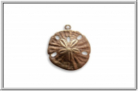 Anh�nger "Sanddollar" TRINITY BRASS, 18x16mm, antikmessingfb., Messing, 1 Stk.