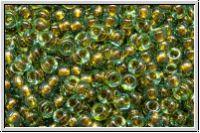 RR-11-0229, MIYUKI Rocailles, 11/0, aqua, trans., brown-ld., 10g