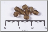 B�hm. Glasschliffperle, feuerpol., 4mm, topaz, sm., matte, 50 Stk.
