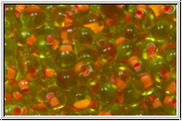 DPF-13, MIYUKI Tropfen, 3,4mm, lime, trans., salmon-ld., 10g