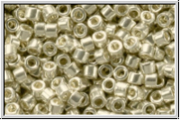 DBL1831, MIYUKI Delica, 08/0, silver, galv., duracoat, 5g