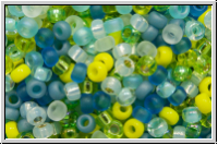 RR-11-Mix-b06, MIYUKI Rocailles, 11/0, Mix "Lagoon", 10g