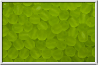 B�hm. Glasschliffperle, feuerpol., 4mm, lime, trans., matte, 50 Stk.
