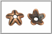 Perlenkappe "Starfish", 9x3mm, antikkupferfb., Tibetsilber, 10 Stk.