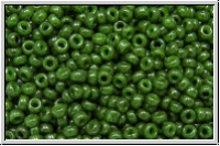 RR-15-1488, MIYUKI Rocailles, 15/0, green (dyed), forest, op., 5g